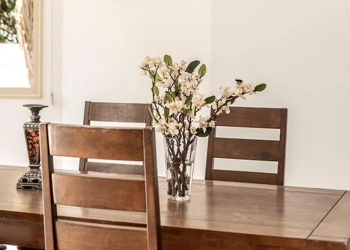 Palms * プロタラス