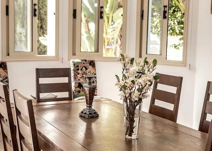 Palms * プロタラス