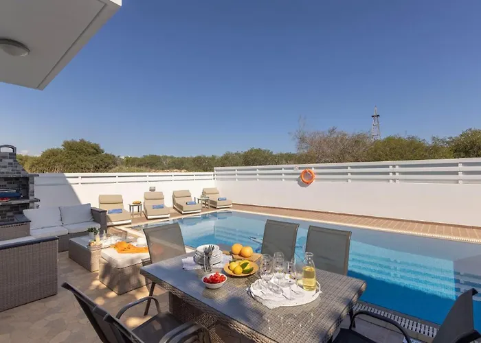 Palms プロタラス