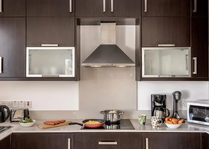 Palms プロタラス